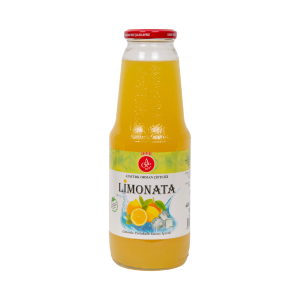 A.O.Ç LİMONATA 1 LT 